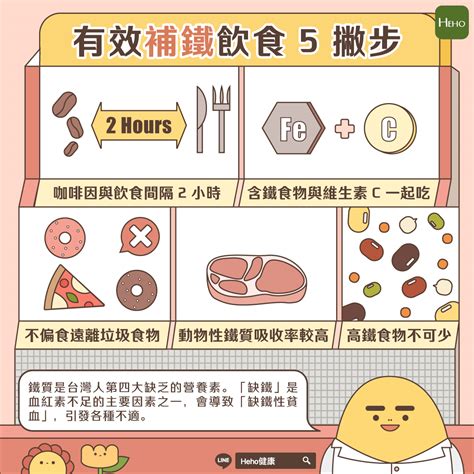 鐵 作用|鐵質營養全攻略：功效、缺乏症狀與注意事項大解析